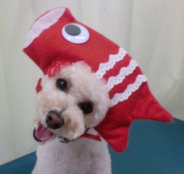 チロル