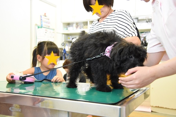 豆おやつのサムネイル画像のサムネイル画像