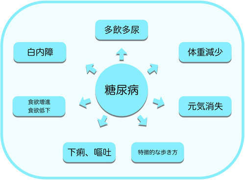 糖尿病の病態