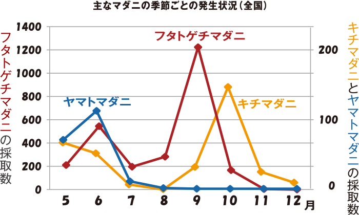 マダニ発生