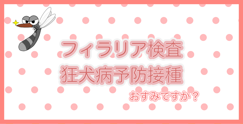 フィラリア狂犬病
