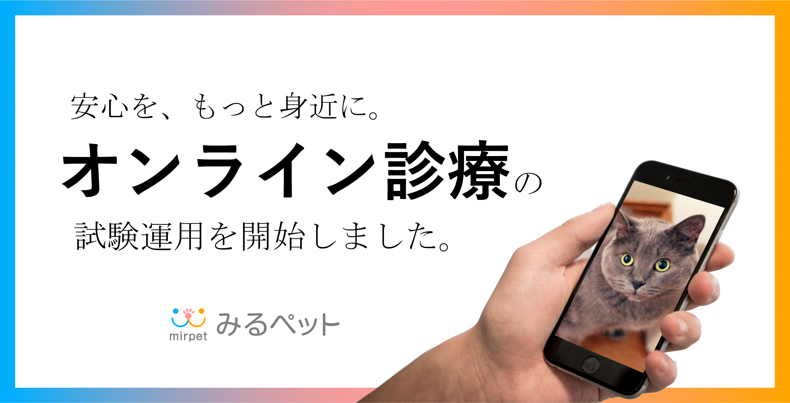 瀬戸市オンライン診療対応動物病院