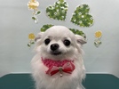 なこちゃんの画像