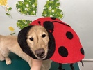 モカくんの画像