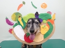 ルークくんの画像