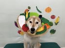 しんたくんの画像