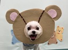 ネオくんの画像