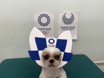 まるくん