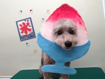 さいくん
