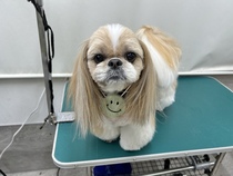 ズーくん
