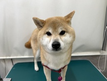無限くん