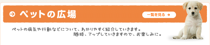 ペットの広場 ペットの病気や行動などについて、わかりやすく紹介していきます。 随時、アップしていきますので、お楽しみに。