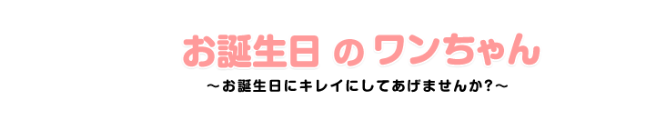 お誕生日のワンちゃん〜お誕生日にキレイにしてあげませんか?〜