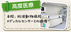 高度医療 本院、松波動物病院メディカルセンターとの連携