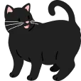cat