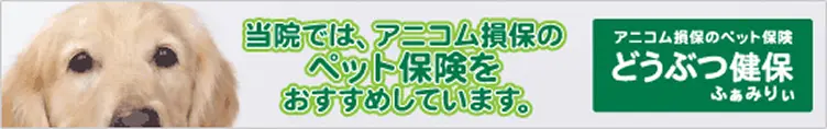アニコム損保のペット保険 どうぶつ健保ふぁみりぃ